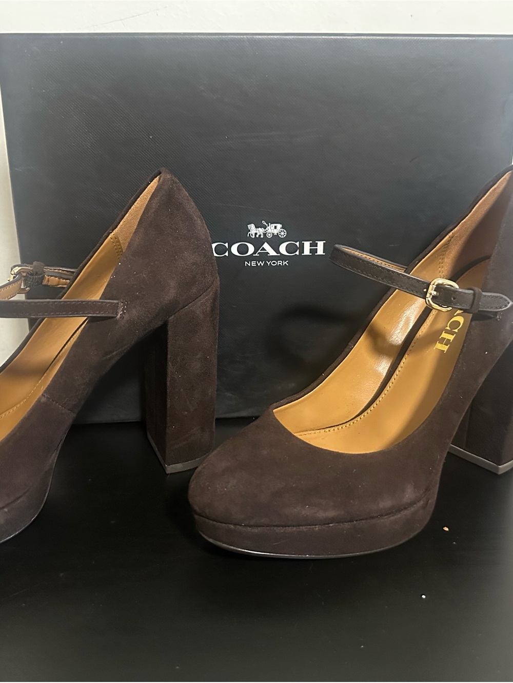 COACH Dark Brown Suede Mary Jane Block Heel Pumps